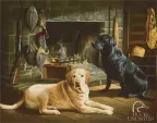Tin Signs Ducks Unlimited - TSN1038