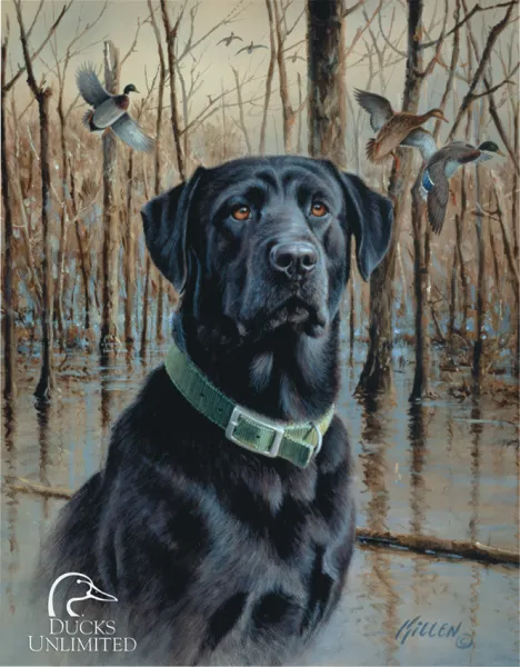 Tin Signs Ducks Unlimited TSN1203