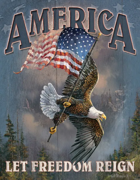 Tin Signs Let Freedom Reign TSN1668
