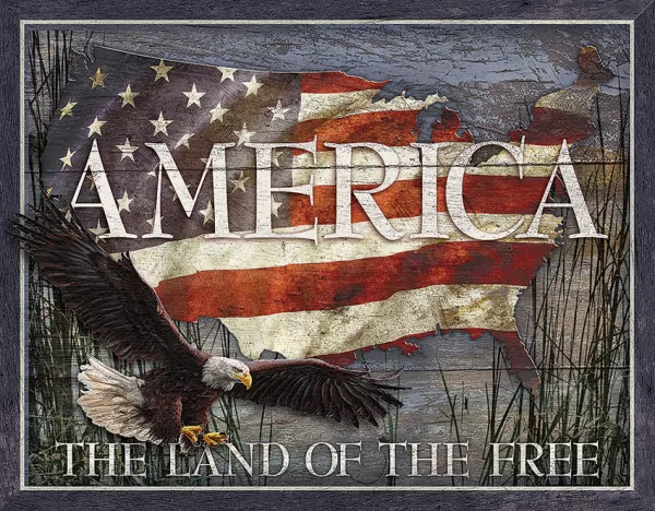 Tin Signs America Land of Free TSN2159