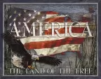 Tin Signs America Land of Free - TSN2159