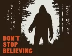 Tin Signs Dont Stop Believing - TSN2195
