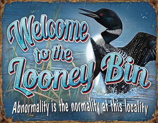 Tin Signs Looney Bin TSN2250