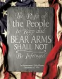 Tin Signs 2nd Amendment Right Sign - TSN2364