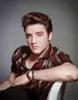 Tin Signs Elvis - TSN2433