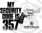 Tin Signs S&W Security Code 357 - TSN2480