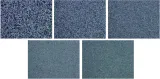 TSPROF Diamond Plates Set TSPSH2000740