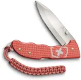 Victorinox Evoke Lockback LE 2025 Stone knives VN09415L25
