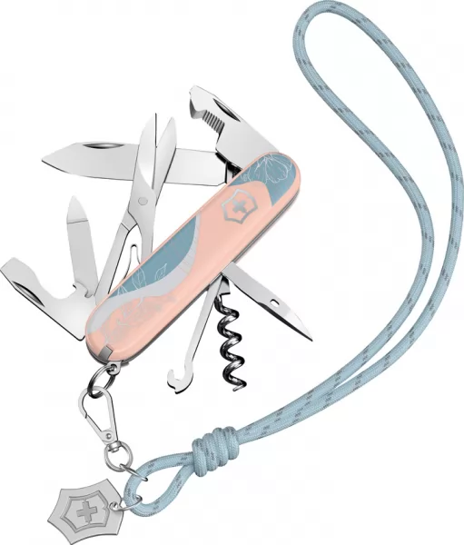 Victorinox Companion Paris Style knives VN13909E221