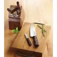 Victorinox Paring Knife Wood knives VN50600SX1
