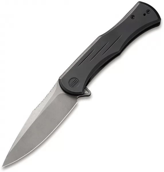 We Knife Co Ltd Primoris Framelock Black SW WE20047A2