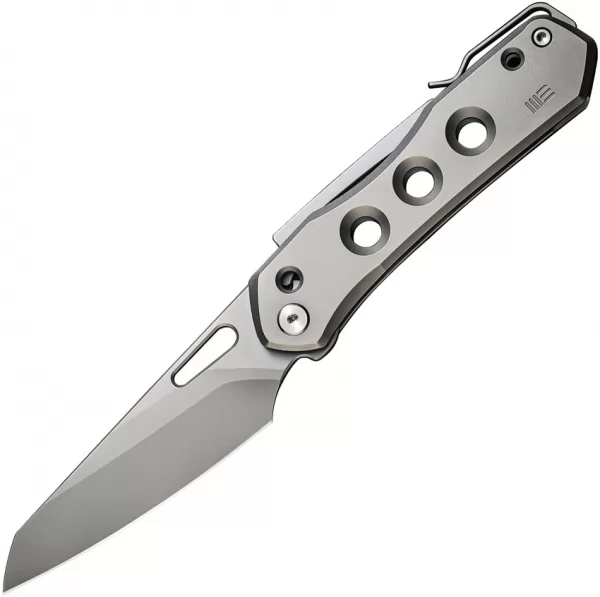 We Knife Co Ltd Vision R WE210311