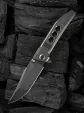 We Knife Co Ltd Ezinta Framelock Polish Gray WE220413