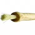 Wood Jewel Mushroom Knife WJ92S