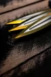 World Knife Throwing League Merlin Throwing Knives WKTL138