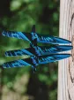 World Knife Throwing League Merlin Sorcerers Fury Thrower WKTL150