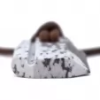 Wazoo Survival Gear Viking Whetstone Pendant WSG003