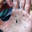 Wazoo Survival Gear Essentials Kit WSGKITES