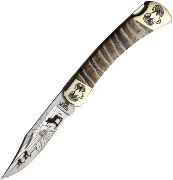 Yellowhorse Custom Buck 110 Lockback YH433