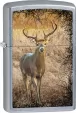Zippo Deer Lighter - ZO15250
