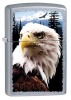 Zippo EAGLE - 28462