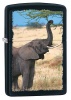Zippo ELEPHANT BLACK MATTE - 28666