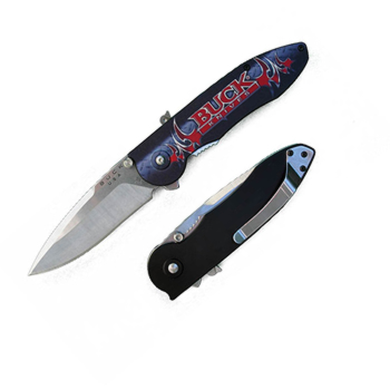 Buck 297G1S Sirus Knife With Gothic Buck Logo