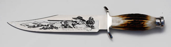 Buck 4835danielboone Custom Bowie knives 916STSLE