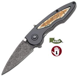 Buck 