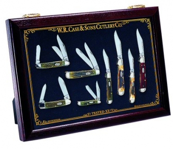 Case 3016. Large Counter Top Display