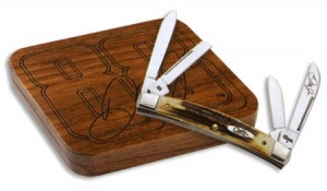 Case 8885 Dale Jr Large Congress Stag