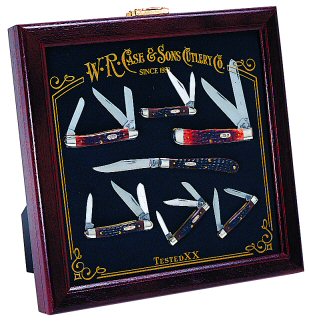 Case MOTHER-OF-PEARL DISPLAY CA990