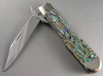 Case Cheetah Paua Knives 5273