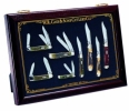 Case 3016. Large Counter Top Display