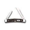 Case BUFFALO HORN MEDIUM CONGRESS - 65027