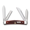 Case PW OLD RED BN MEDIUM CONGRESS - 789