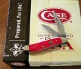 Case BSA ROUGH RED DELRIN PEANUT - 8006