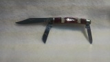 Case EXOTIC RED/GOLD JASPER MD STKM - 11100
