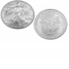 2006 1 oz Silver American Eagle Coin in Capsule