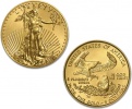 2010 1/10 oz Gold American Eagle Coin