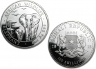 2015 Silver Somalian African Elephant 1 oz Coin