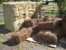 Pine Straw from Louisiana Long Leaf Pines - 15 lbs