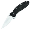 Kershaw Scallion Knife, Plain by Ken Onion 1620
