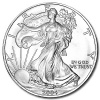 2004 1 oz Silver American Eagle Coin