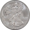 2013 1 oz Silver American Eagle Coin
