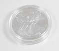 1991 1 oz Silver American Eagle Coin in Air-Tite Capsule