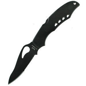 Spyderco Cara Cara 2 BY03BKPS2 3875 Blade