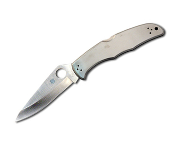 Spyderco C10P Endura 4 