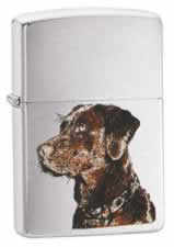 Zippo Chocolate Labrador Lighter Model 21091