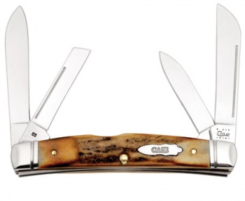 Case Medium Congress Knife Burnt Stag Pinched Bolsters CA12464